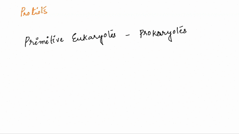 which-term-best-describes-this-protist-a-acellular-b-eukaryotic-c-multicellular-d-prokaryotic-53478