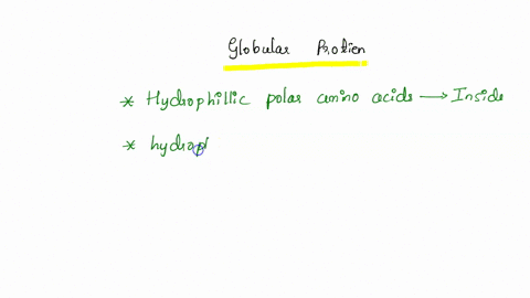which-of-the-following-amino-acids-is-most-likely-to-be-found-on-the-outside-ofa-globular-protein-and-which-of-them-is-more-likely-to-be-found-on-the-inside-isoleucine-a-inside-methionine-b-28014