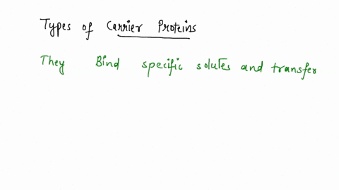 carrier-proteins-mediate-primary-active-transport-transport-ions-or-molecules-across-the-membrane-without-hydrolysis-of-atp-have-two-classes-uniporters-and-symporters-0utlize-the-gradient-of-80426