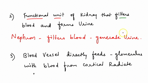 1-from-outermost-to-innermost-what-are-the-three-regions-of-the-kidneya-renal-medulla-renal-cortex-renal-hilumb-renal-cortex-renal-medulla-renal-pelvisc-renal-pelvis-renal-pyramids-renal-col-61212