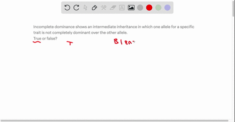 incomplete-dominance-shows-an-intermediate-inheritance-in-which-one-allele-for-a-specific-trait-is-not-completely-dominant-over-the-other-allele-true-or-false-67448