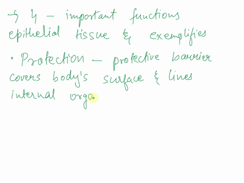 name-four-important-functions-of-epithelial-tissue-and-provide-at-least-one-example-of-a-tissue-that-exemplifies-each-function-99907