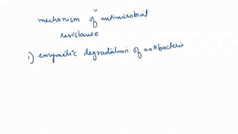 what-are-the-mechanisms-that-bacteria-are-resistant-to-antibiotics-11948
