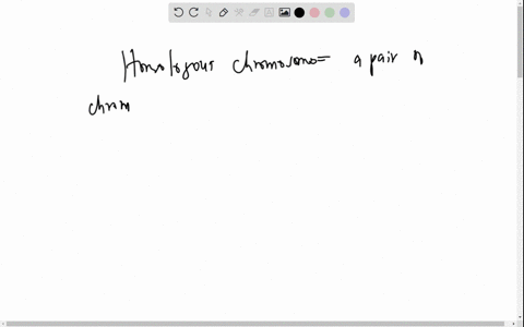 discuss-the-concepts-of-homologous-chromosomes-diploidy-and-haploidy-what-characteristics-do-two-h-4-98225