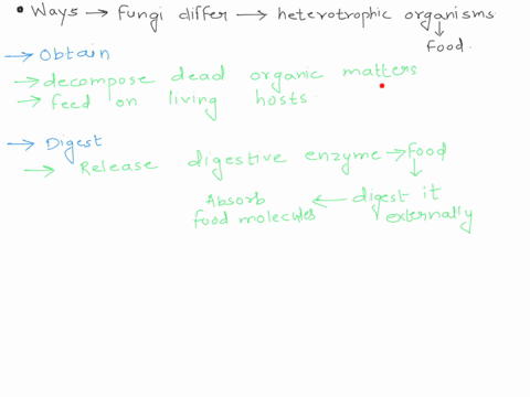 describe-two-ways-in-which-fungi-differ-from-other-heterotrophic-organisms-in-how-they-obtain-and-di-55292