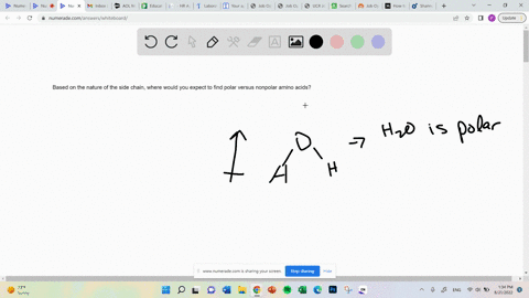 based-on-the-nature-of-the-side-chain-where-would-you-expect-to-find-polar-versus-nonpolar-amino-acids-93459