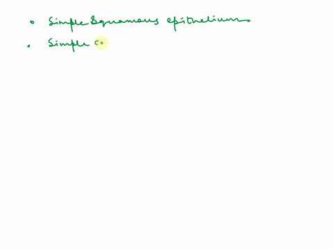 ldentify-each-of-the-following-epithelial-tissue-from-their-functional-description-epithelium-can-function-in-diffusion-filtration-secretion-and-protection-based-on-location-pseudostratified-71206