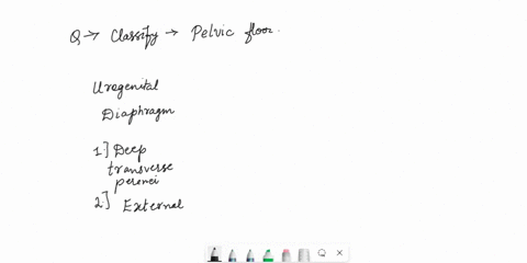 ssignment-9-classify-muscles-of-pelvic-floor-some-muscles-at-the-pelvic-outlet-form-the-pevic-floorsome-form-the-urogenial-diaphragm-and-othors-belong-to-nether-category-place-the-name-of-ea-32926