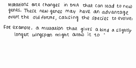 which-statement-best-describes-how-mutations-are-related-to-evolution-a-there-is-not-a-strong-relationship-between-mutations-and-evolution-b-natural-selection-causes-evolution-which-causes-m-40214