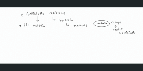 wnich-of-the-following-can-play-role-increasing-the-froquency-of-antibiotic-resistance-genes-in-bacteria-horizontal-gene-transfer-vertical-guna-transter-both-horizontal-and-vertical-gone-tra-81974