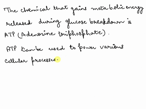 what-chemical-gains-the-metabolic-energy-that-is-released-as-glucose-is-broken-down-in-the-body-53404