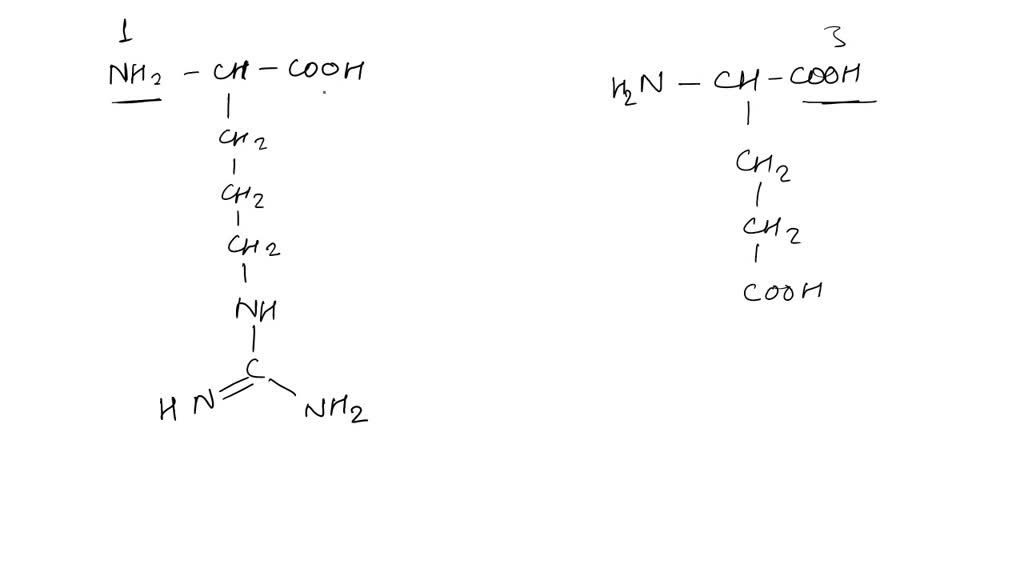 SOLVED: The diagrams show the structures of two amino acids one of ...