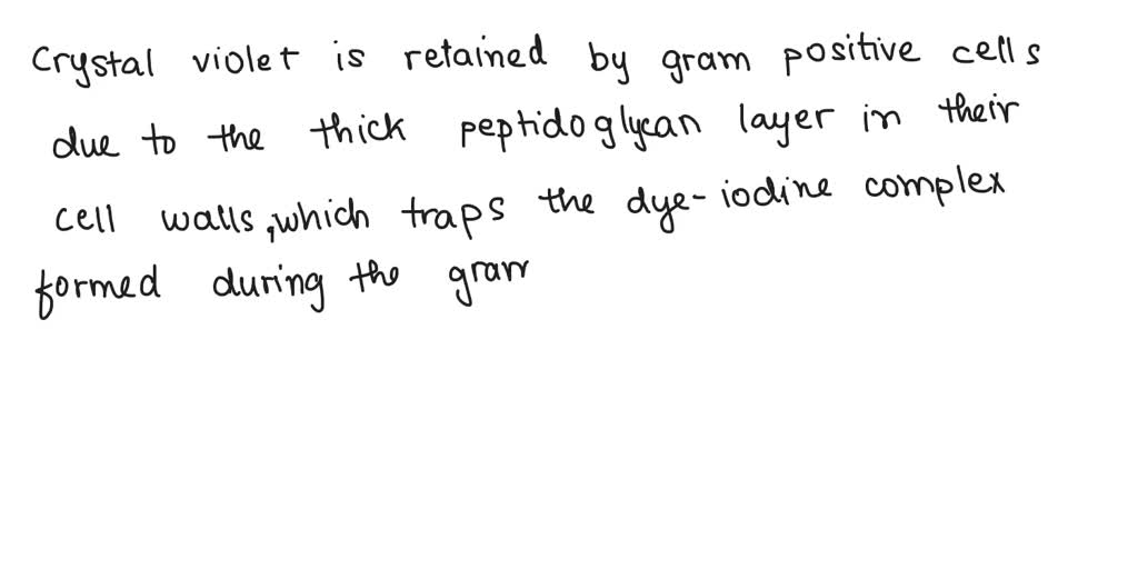 SOLVED: how is crystal violet retained by gram-positive cells? dose ...