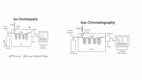 a-client-brings-you-a-mixture-of-organic-compounds-that-she-wants-analyzed-preliminary-analysis-suggests-that-the-elements-present-are-c-h-o-and-n-cl-and-br-upon-heating-the-mixture-does-eva-40143