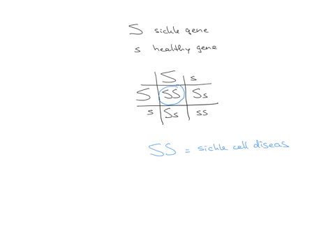 sickle-cell-anemia-is-an-inherited-disease-in-which-red-blood-cells-become-distorted-and-deprived-of-oxygen-a-person-with-two-sickle-cell-genes-will-have-the-disease-but-a-person-with-only-one-sickle-