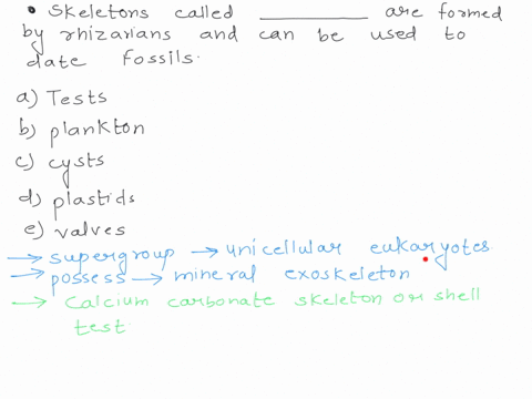 skeletons-called-are-formed-by-rhizarians-and-can-be-used-to-date-fossils-a-tests-b-plankton-c-cysts-87075
