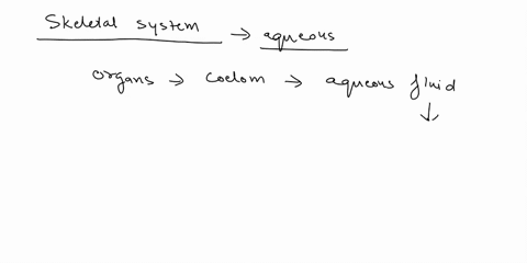 which-type-of-skeletal-system-of-animals-is-formed-by-the-pressure-exerted-by-the-aqueous-contents-o-03566