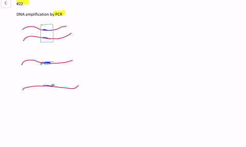 explain-what-would-happen-if-the-pcr-reaction-did-not-contain-taq-polymerase-assuming-all-other-required-pcr-components-are-present-would-any-part-of-the-pcr-reaction-occur-explain-your-reas-44381