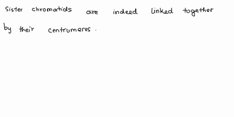 sister-chromatids-are-linked-together-by-their-centromeres-true-or-false-true-false-52083