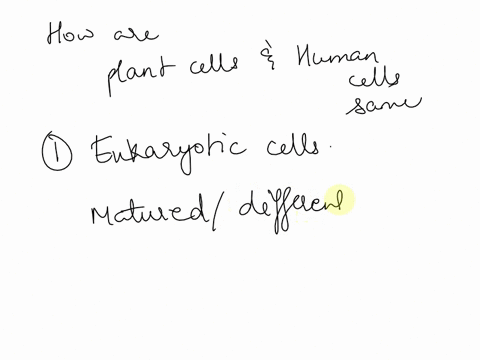 how-are-plant-cells-and-human-cells-the-same-79774