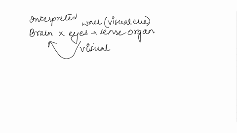 neral-questions-and-not-with-our-eyes-explain-the-rationale-behind-it-is-can-be-said-that-we-see-with-our-brain-this-statement-64459