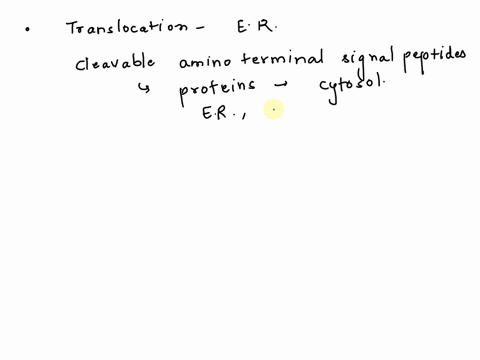 translocation-of-most-secretory-proteins-across-the-endoplasmic-reticulum-er-membrane-involves-transport-of-the-nascent-peptide-through-the-translocon-channel-powered-by-a-ribosome-mediated-95936