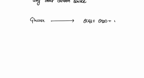 write-an-essay-of-at-least-400-words-about-cellular-respiration-muscle-contractions-and-sore-muscles-how-is-cellular-respiration-both-anaerobic-and-aerobic-instrumental-in-muscle-contraction-72547