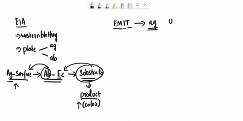 explain-the-basic-principle-of-enzyme-immunoassay-what-types-of-substances-lend-themselves-to-being-measured-by-eia-describe-emit-and-elisa-what-is-meant-by-these-two-acronyms-explain-the-pr-32414