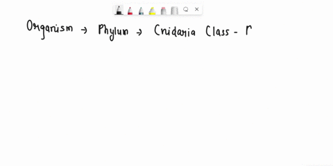 to-what-phylum-and-class-does-this-organism-belong-phylum-class-33622