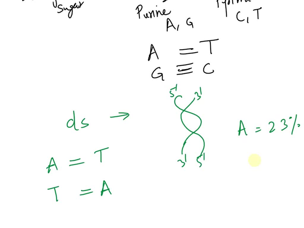 solved-if-23-percent-of-the-bases-in-a-sample-of-double-stranded-dna