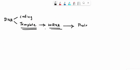 below-is-the-dna-sequence-for-the-beginning-of-a-specific-gene-aggtacgttatg-non-template-strand-tccatggaatac-template-strand-using-this-dna-sequence-and-the-codon-table-below-answer-the-foll-55098