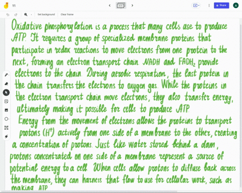 briefly-explain-the-process-of-atp-production-during-oxidative-phosphorylation-ie-the-chemiosmotic-hypothesis-58219