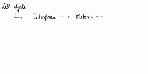 select-all-that-apply-what-true-about-the-conformational-aspects-of-coupling-the-proton-gradient-is-involved-in-the-release-0f-bound-atp-from-the-synthase-as-result-of-conformational-change-24474