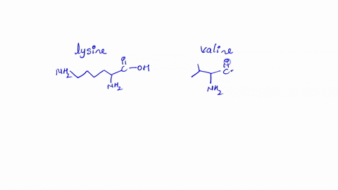 which-of-the-following-amino-acids-cannot-form-a-nonsuperposable-mirror-image-lysine-valine-glycine-leucine-isoleucine-03389