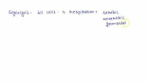 from-what-you-learned-about-glycolysis-what-is-the-atp-yield-per-each-molecule-of-glucose-under-low-oxygen-conditions-check-the-image-for-help-a-0-atp-molecules-from-lactic-acid-fermentation-22083