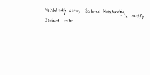 which-one-of-the-following-is-not-secreted-in-the-stomach-a-hcl-b-pepsin-c-trypsin-d-mucous-74078