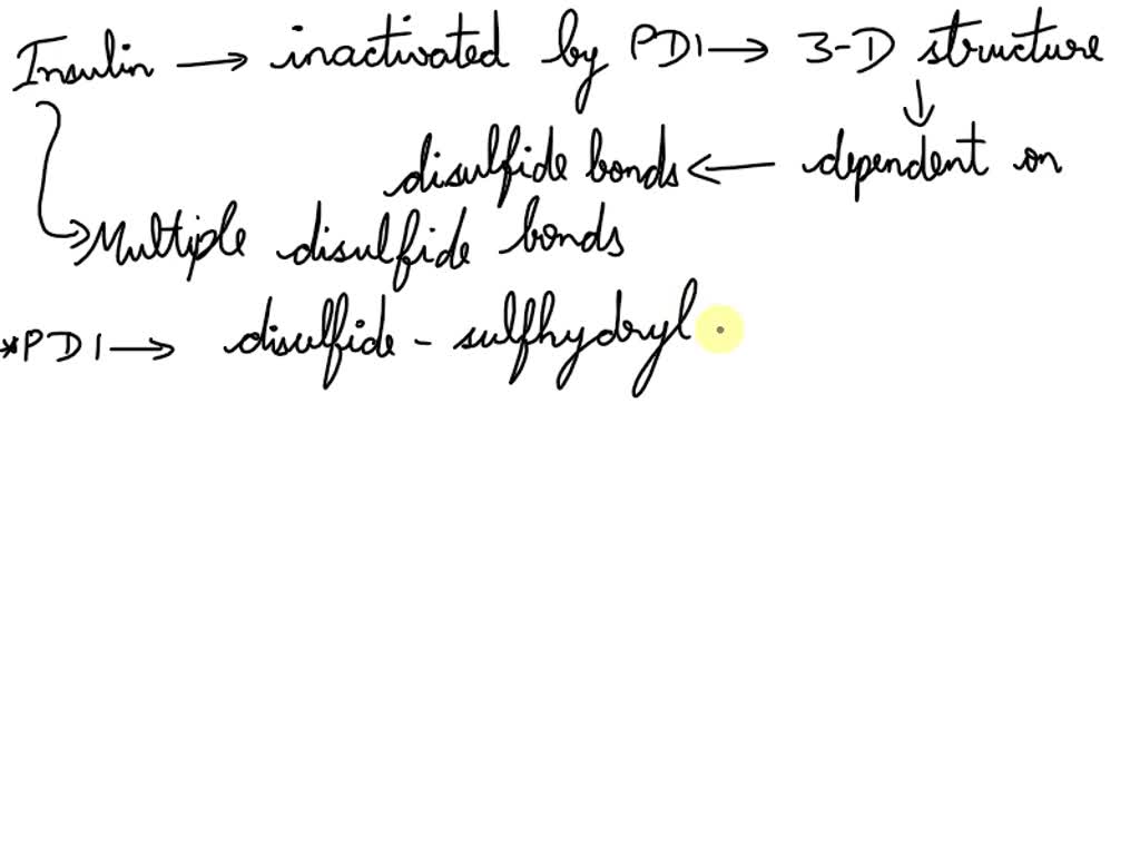 SOLVED An enzyme that catalyzes disulfidesulfhydryl exchange
