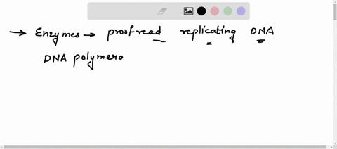 the-enzymes-that-can-proofread-replicating-dna-detect-incorrect-bases-excise-them-and-correctly-replace-them-are-29622