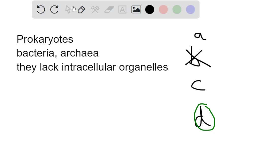 SOLVED: Your instructor asks you to look into your microscope to see ...