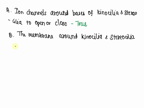 bending-at-the-base-of-kinocilium-and-stereocilia-on-neuromast-or-hair-cells-causes-all-of-the-following-except-ion-channels-around-the-bases-of-the-kinocilia-and-stereocilia-open-or-close-t-32696