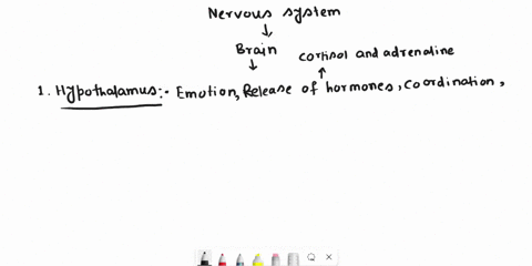 1-discuss-the-contributions-of-the-following-brain-areas-to-emotion-hypothalamus-insular-cortex-basal-ganglia-anterior-cingulate-gyrus-2-describe-the-relationship-between-serotonin-and-aggre-78514