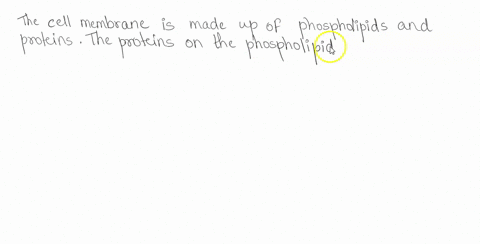 why-is-the-current-membrane-model-called-fluid-mosaic-what-holds-the-membrane-together-91896