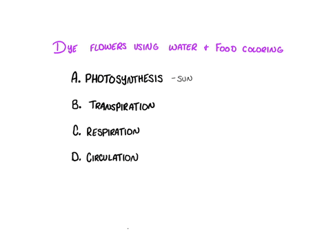 a-florist-makes-dyed-flowers-by-cutting-the-stems-of-white-flowers-and-submerging-the-ends-in-water-with-colored-dye-added-to-it-which-ability-of-plants-is-demonstrated-by-this-process-photosynthesis-