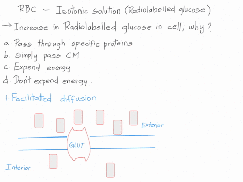 9-a-team-of-scientists-uses-radioactive-carbon-to-label-glucose-molecules-the-radioactivity-does-not-affect-the-chemical-or-biological-properties-of-the-glucose-molecules-in-an-experiment-th-59026