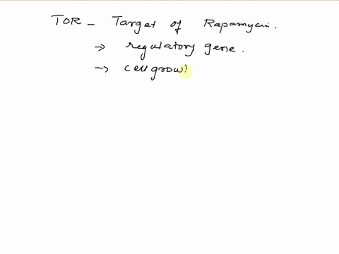 question-15-activating-tor-leads-to-which-of-the-following-apoptosis-overactive-cancer-cells-cell-division-a-all-of-the-above-27263
