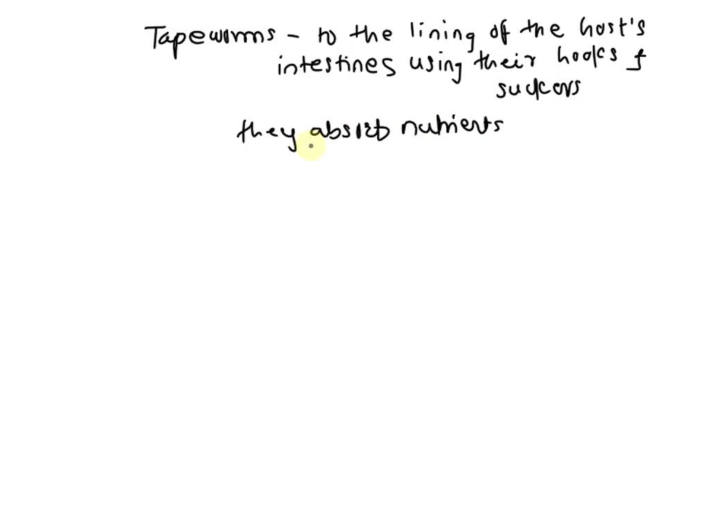 SOLVED How does the tapeworm body plan support widespread dissemination of the parasite?