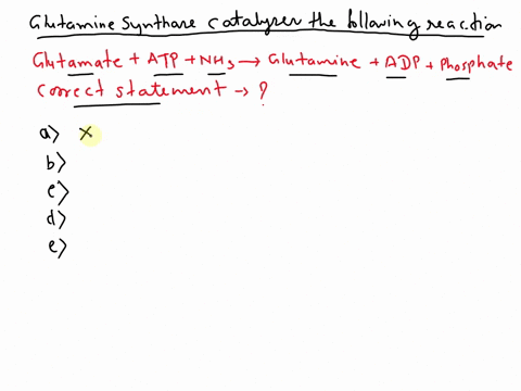 the-enzyme-glutamine-synthetase-catalyzes-the-following-reaction-glutamate-atp-nh3-glutamine-adp-phosphate-which-of-the-following-statements-about-this-reaction-is-correct-the-rate-of-oxygen-35311