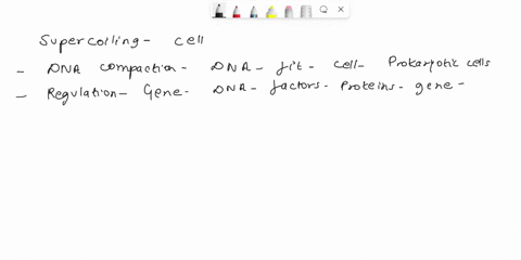 what-functions-does-supercoiling-serve-for-the-cell-3-42765