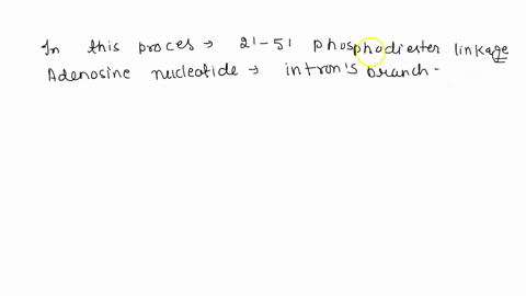 what-chemical-moiety-on-the-pre-mrna-initiates-the-removal-of-introns-during-alternative-splicing-reaction-that-ultimately-form-the-rna-lariat-structure-a-the-2-hydroxyl-of-the-intronic-aden-04994