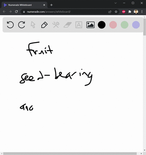 what-is-a-fruit-64814